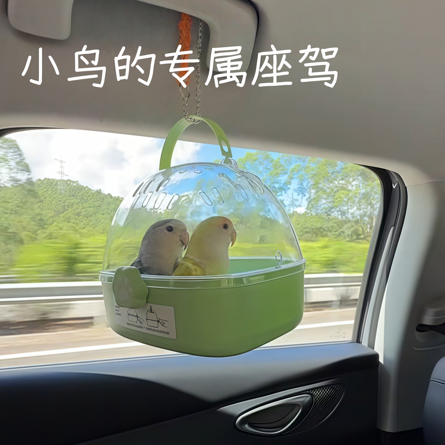 鹦鹉外出笼便携透气手提鸟包玄凤和尚和尚鹦鹉小太阳外带专用鸟笼