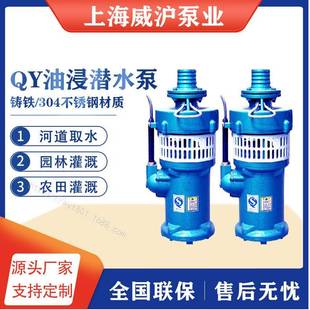 铸铁离心泵抽水泵潜水泵油浸泵QY100 QY小型家用泵注油式 4.5