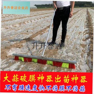 大蒜出苗刷子f大蒜破地膜出苗神器人工出芽破膜工具种植大蒜农具,