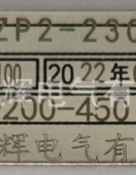 双支热电阻耐磨WZP2-230NM