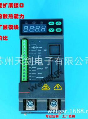 W8系列数字型单相SCR电力调整器100A