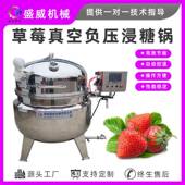 盛威机械草莓真空浸糖锅蓝靛果浸糖设备蜜枣浸糖锅真空浓缩水果