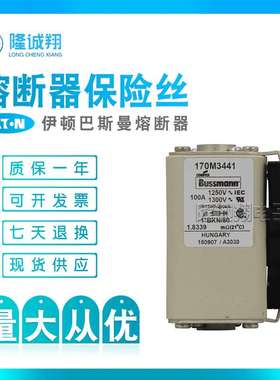 【熔断器保险丝】170M3446 170M3447 170M3448 170M4438 170M4439