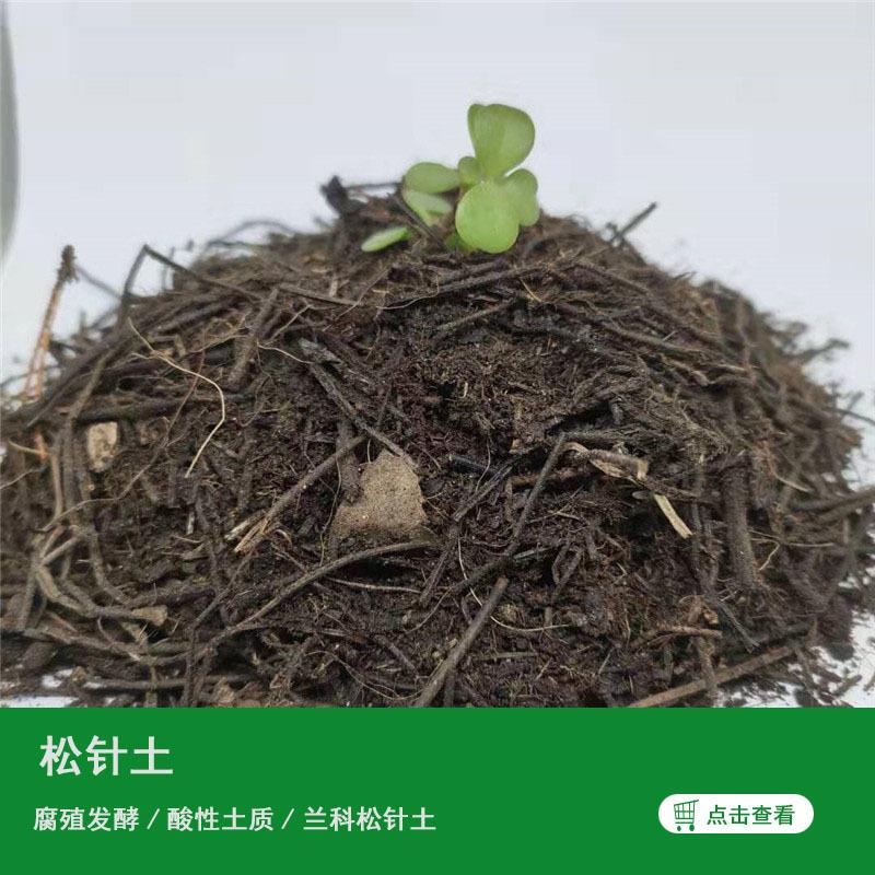 腐殖松针土疏松透气君子兰兰花腐叶土发酵家用种花有机营养土