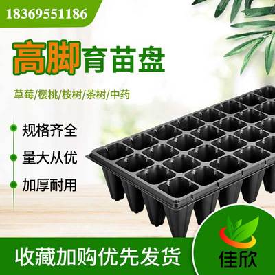 15/21/32/50孔高脚林木扦插育苗盘草莓樱桃菠萝育秧桉树构树穴盘