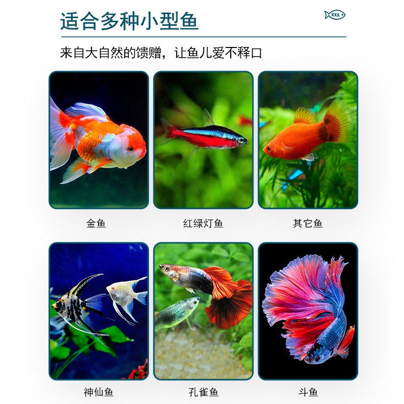 孔雀鱼饲料鱼食小颗粒小型鱼粮热带鱼微小鱼料小鱼通用观赏鱼专用