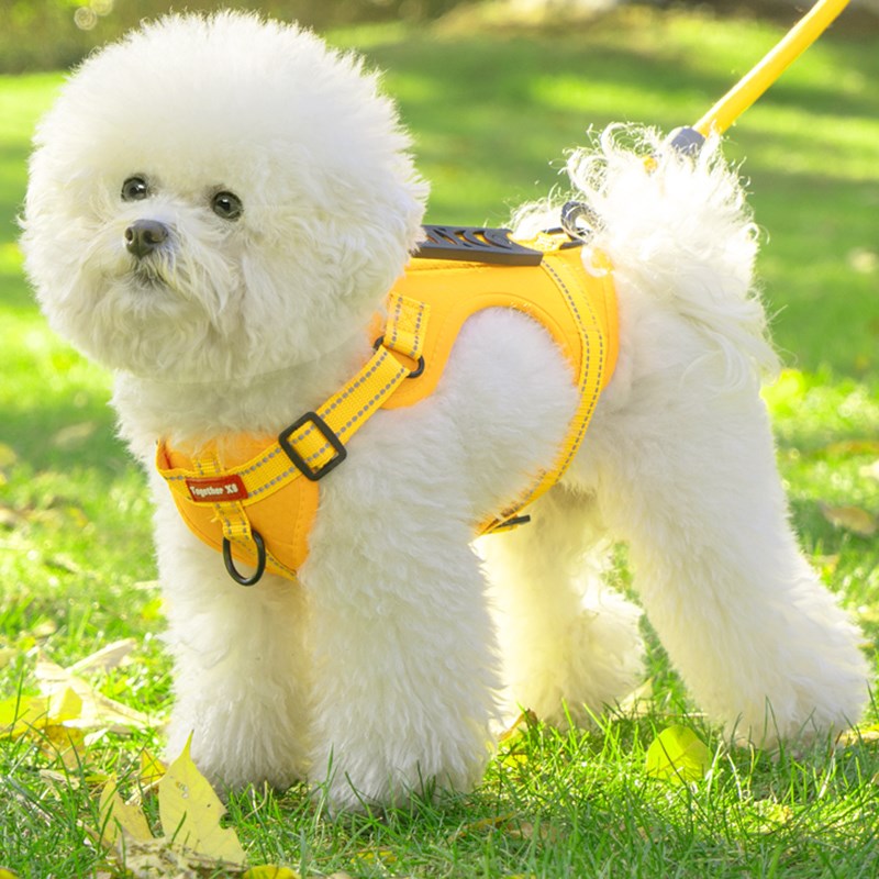 小狗狗牵引绳小型犬比熊背心式防挣脱胸背带外出泰迪遛狗绳狗链子
