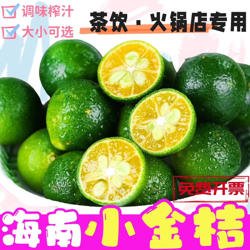茶诺新鲜海南青金桔小金桔小青桔图片