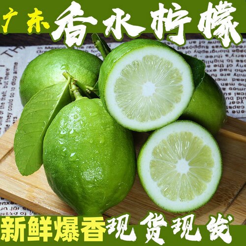 茶诺新鲜香水柠檬广东奶茶店专用