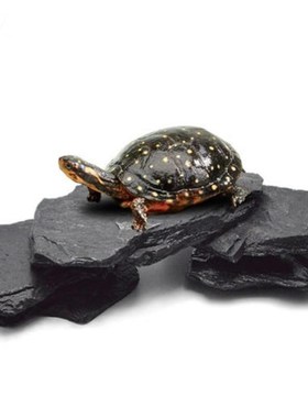 极速造景岩片假山石头片天然片y石装饰水草箱鱼缸乌龟缸爬宠台石