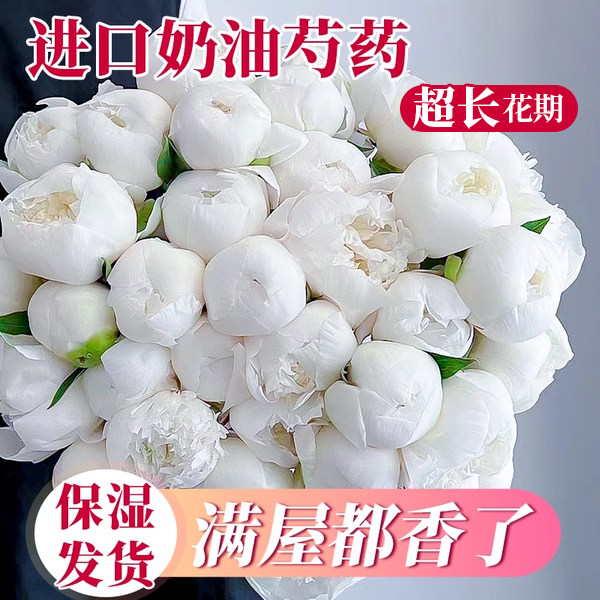 新品奶油碗芍药鲜花进口落日珊瑚重瓣鲜切花束P室内客厅植物插花图片