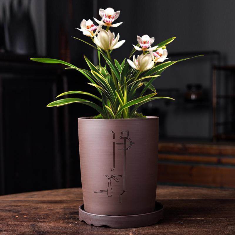 极速紫砂花盆透气小叶紫檀文竹兰花君子兰盆Q景盆家用陶瓷带拖,鲜花速递/花卉仿真/绿植园艺,花盆,淘宝优惠券,粉丝福利购,淘宝优惠卷