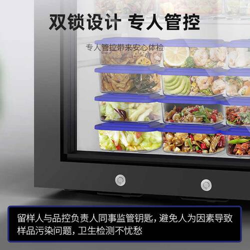 德派龙学校食品留样柜专用带锁医院单位小型冰箱保鲜冷藏箱展示柜