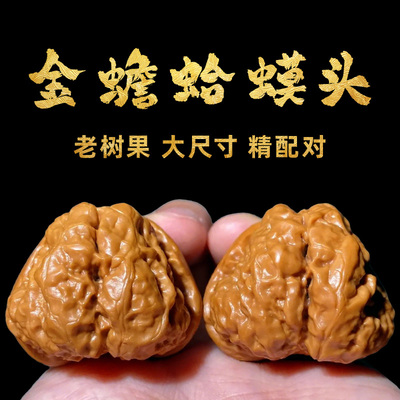 【精品】金蟾蛤蟆头文玩核桃
