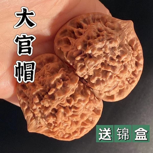 高端精品文玩核桃麒麟纹大官帽55粗筋古玩手把件盘玩送长辈礼物