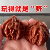 山地老树 野 核桃文玩天然手盘曹大龙狮子头秦闷全品精配对
