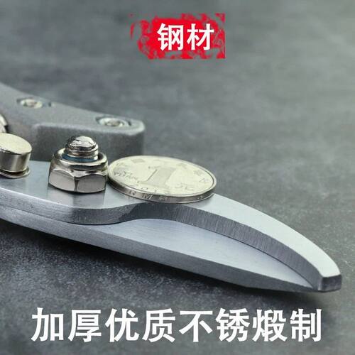 园林SK5果树修枝剪刀花艺粗枝花剪强力园艺剪刀省力回弹修剪树枝