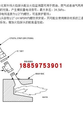 C7027A1049火焰探测器 C7027A1023电眼 C7027A1072燃烧机配件