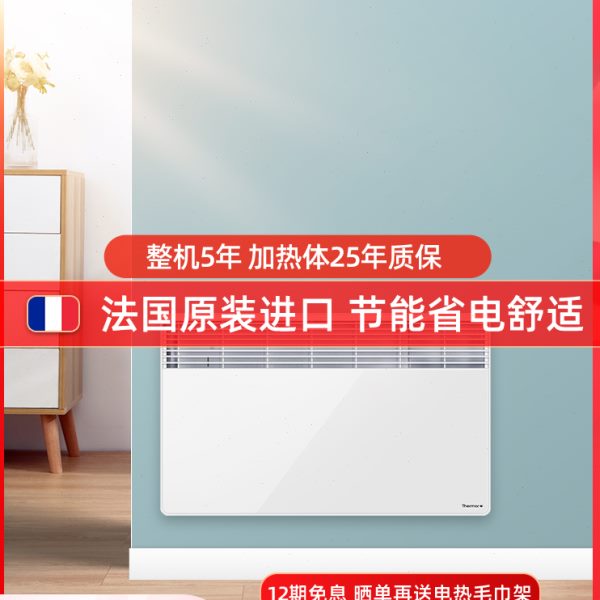赛蒙取暖器家用节能电暖器壁挂式电暖气片客厅卧室法国进口取暖炉