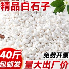 白石子南京雨花石天然原石鱼缸石头子铺底白色鹅卵石颗粒铺路造景