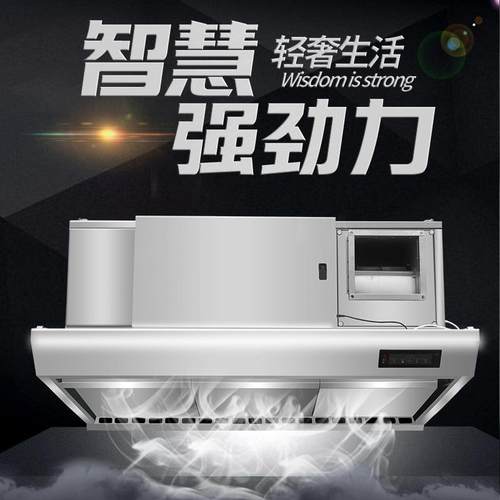 艺佳商用油烟净化一体机油烟净化器饭店厨房烧烤低空排放排烟罩