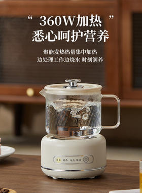 日本养生壶多功能家用保温烧水煮茶壶办公室全自动玻璃煮茶器