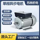 YL铁壳卧式 双值电容单相电动机定做机械设备马达电机非标定制