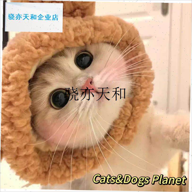 l物帽子猫咪小黄鸡头套狗狗u小熊搞怪变装帽可装扮拍照道具头饰品