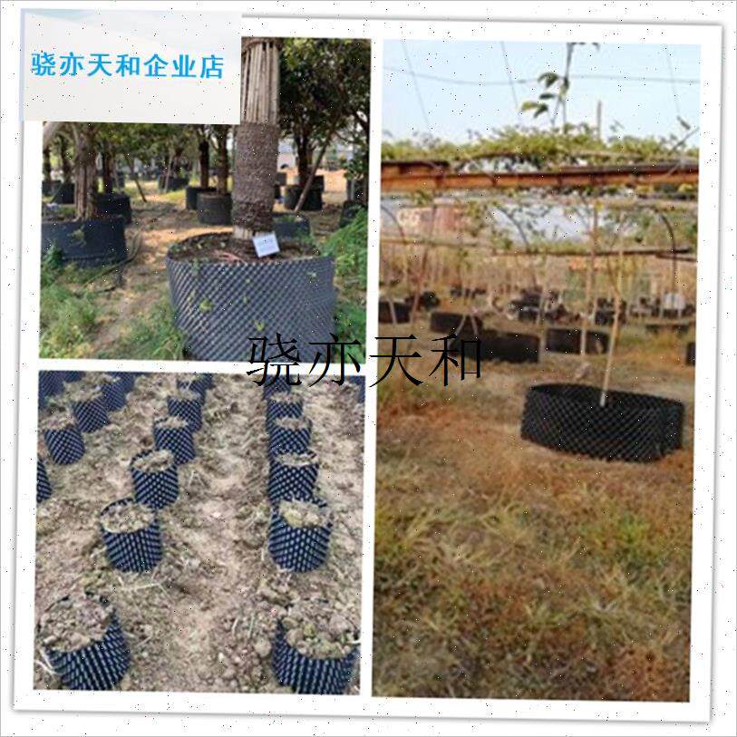 l根器塑料围e树板盆景围栏槟榔树高培土树桩花盆围边板苗木控根网