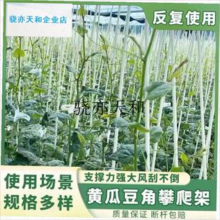 l瓜搭架杆番茄立杆玻璃纤维w塑料豆角豇豆芸豆四季豆番茄爬藤杆