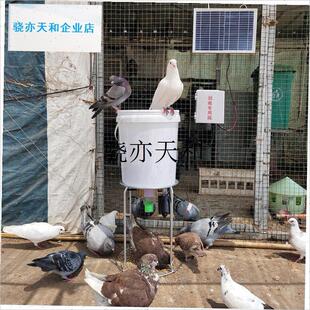 l鸭鹅鱼全自动喂料机定时定量用A品用具饲料喂食器远程猫狗兔子鱼