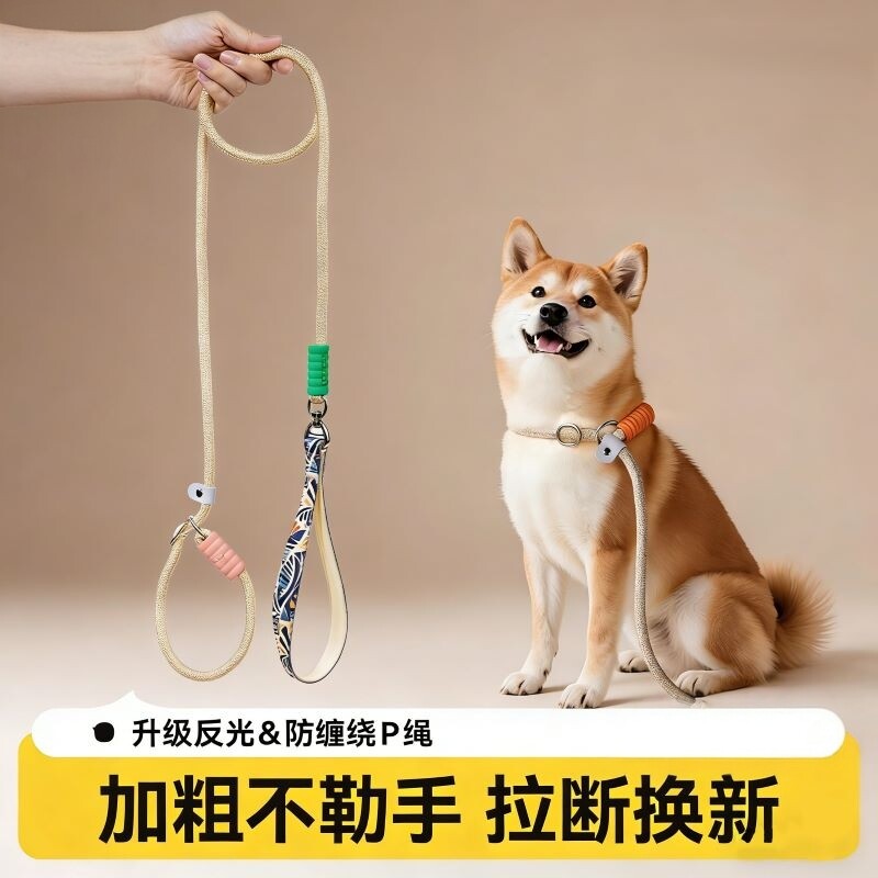赛级P链P绳狗狗牵引绳项圈式防爆冲大中小型犬训练遛狗绳子栓狗链