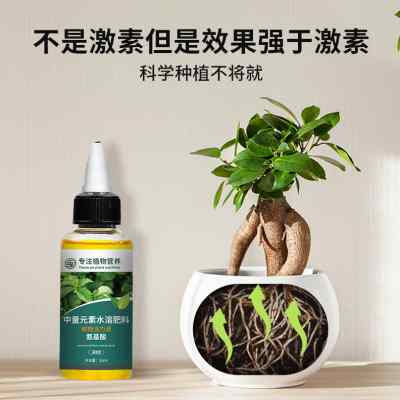 极速植物生长活力素养花用的通用型浓缩营养液花苗盆栽Z肥料多肉