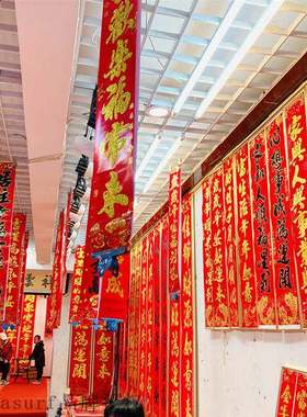 极速2022 dTiger New Year picture door painting spring festiv