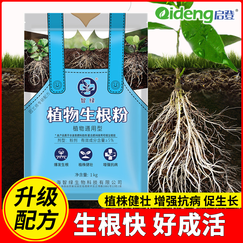 极速强力生根粉植物通用树木壮z苗生根剂扦插多肉营养液快速生根