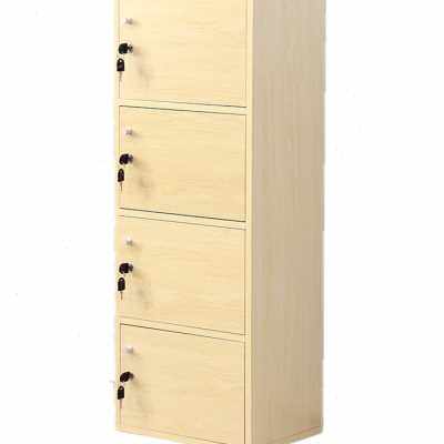 极速瑜伽a店美发馆带锁柜包存包员工更衣健身房柜子学生教室柜木