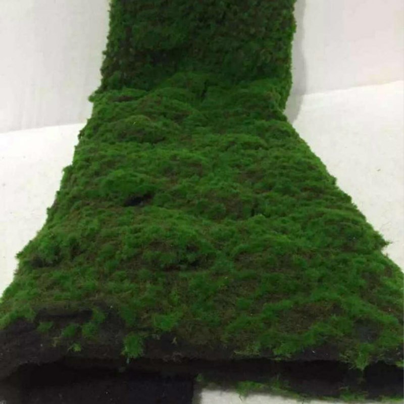 极速仿真青苔草j坪 青苔石 盆景 植物苔藓 仿真植物墙景草坪
