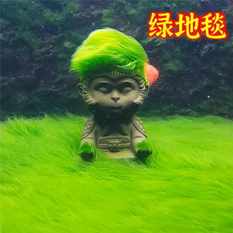 极速绿虾藻藻种短绒藻绒藻Jpt3yR9XU藻石藻球藻苏藻鱼缸绿藻长绿