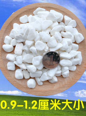 极速40斤装白色石子石头鹅卵石庭院铺路铺地阳Q台室内装饰砾石小