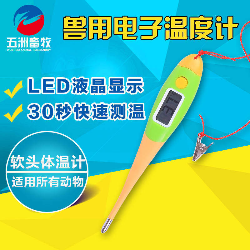 极速兽用电子温度计m宠物体温计兽用体温计兽用体温枪高精度温湿