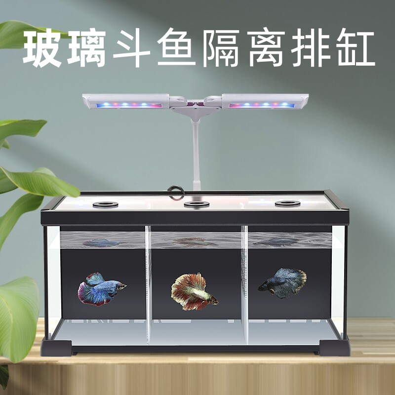 极速泰国斗鱼缸玻璃多格排隔离缸B加温背过滤免换水维护生态缸桌