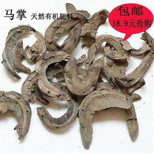 极速包邮马掌肥料马蹄片马蹄掌传统D蛋白质缓释生物有机花肥养花5