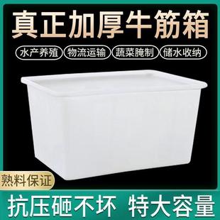 塑料框水箱长方形水产养殖箱加厚养鱼卖鱼盆大号牛筋料家用储水桶