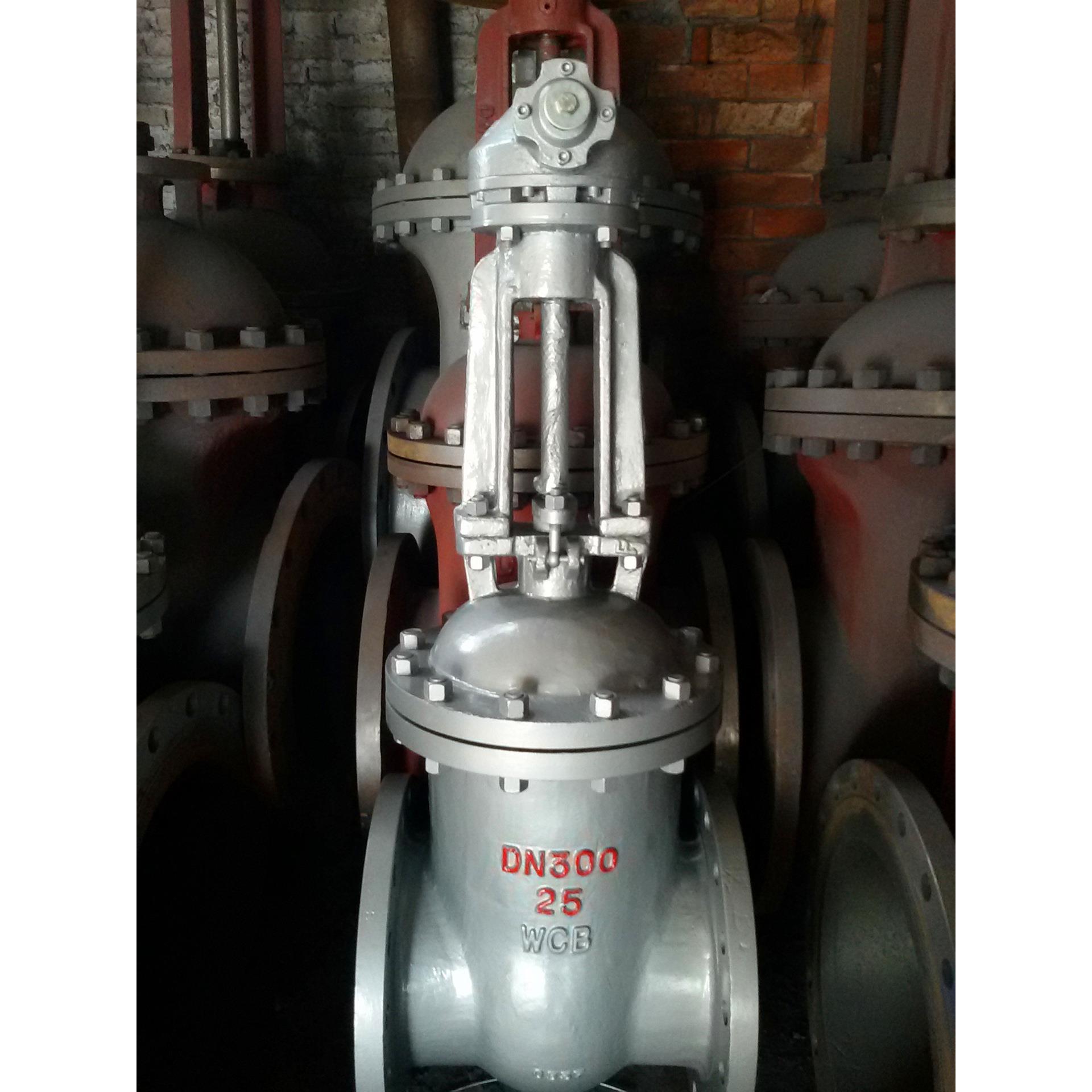 上海厂家专产 伞齿轮闸阀 Z541H-10C DN700 涡轮闸阀