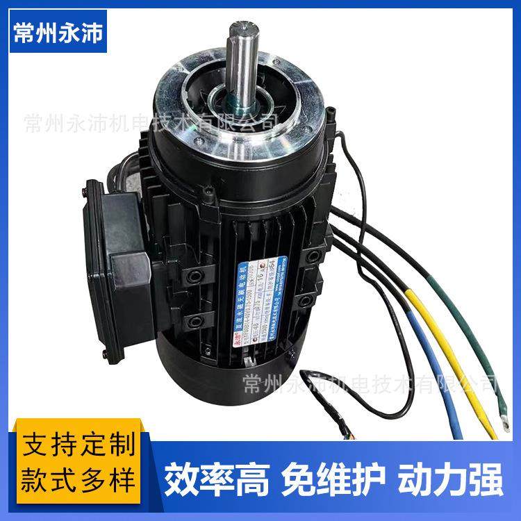 36V2KW3000rpm无刷直流电机 减速电机 计量泵液压泵站电机