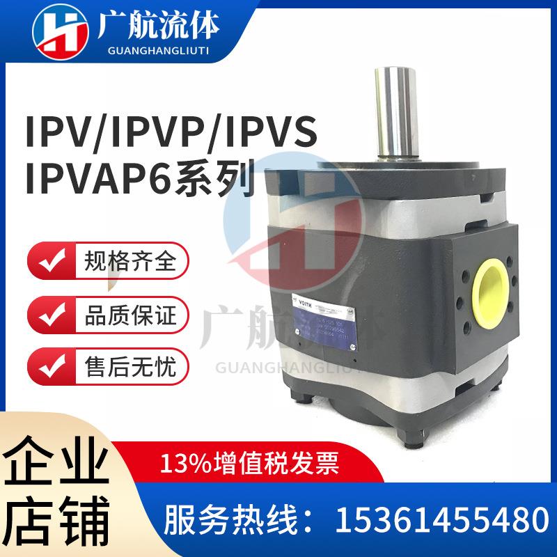 VOITH福伊特IPV6-125IPVP6-125 IPVAP6-125 IPC6-125 101 111 151
