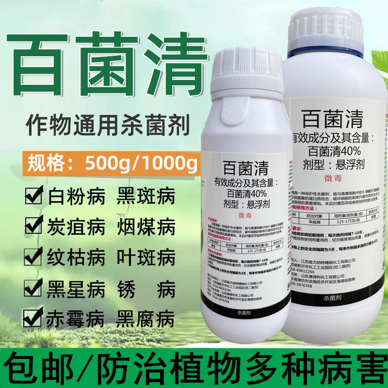 通用百菌清杀剂白粉病叶枯
