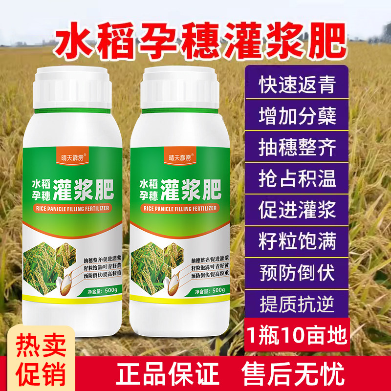水稻专用肥水稻孕穗灌浆肥抗倒伏