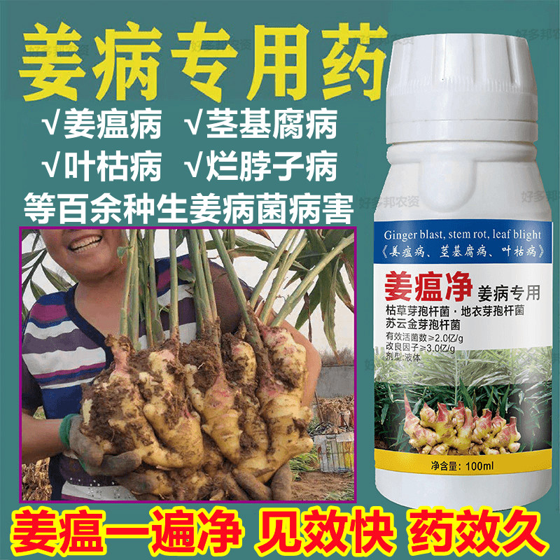 姜病专用杀菌剂【瘟净】生