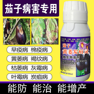 茄子专用药茄子黄萎病炭疽病疫病灰霉病根腐病枯萎病防治专用套餐